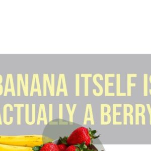 Strawberry Banana E-Liquid Fruit Monster