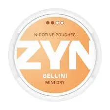 ZYN Pouches EU Flavors – WOW! - Image 5